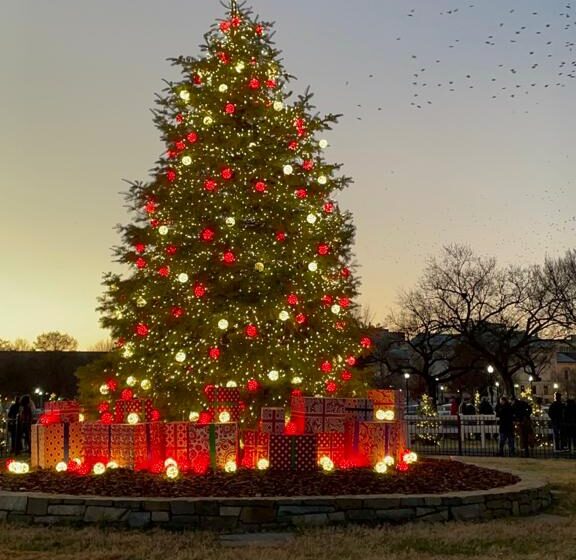 Washington DC: President National Christmas Tree￼