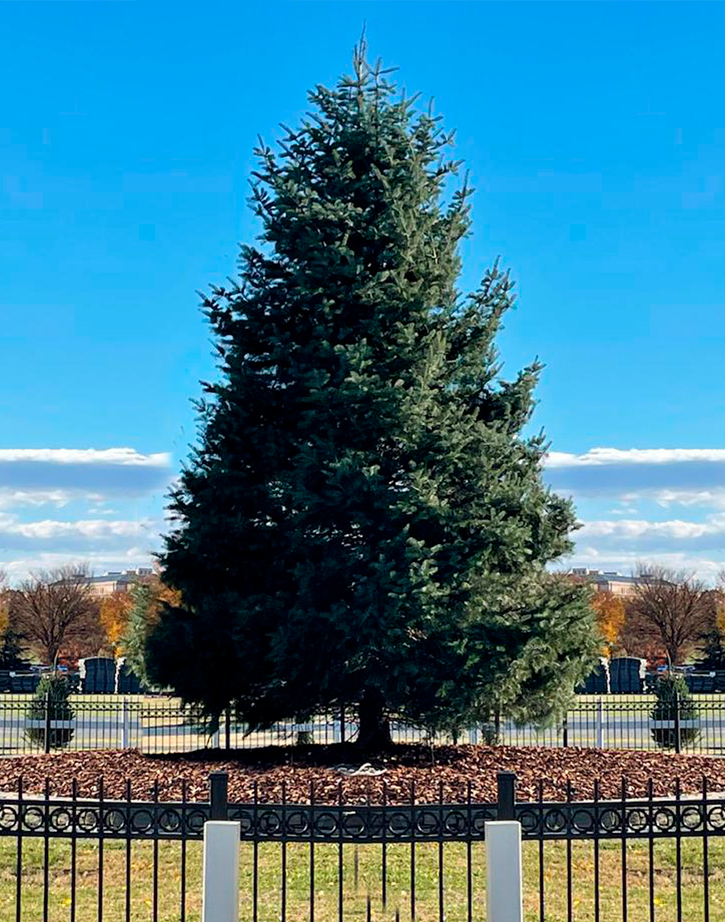 national-christmas-tree-non-christmas