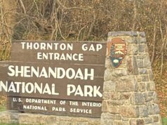 Parque Nacional Shenandoah: ¿Qué es, dónde queda, qué hacer?
