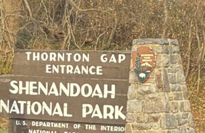 Parque Nacional Shenandoah: ¿Qué es, dónde queda, qué hacer?