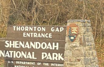 Parque Nacional Shenandoah: ¿Qué es, dónde queda, qué hacer?