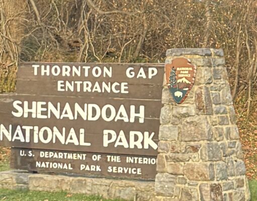 Parque Nacional Shenandoah: ¿Qué es, dónde queda, qué hacer?